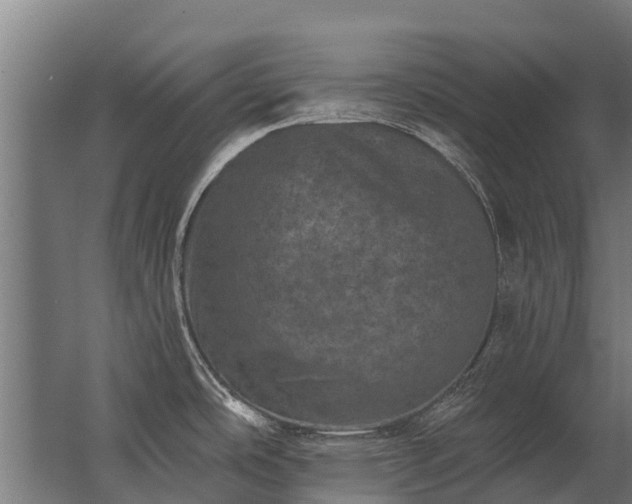 X0000062791486200512290209