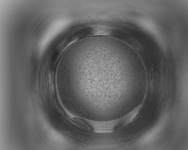 X0000062791487200512290209