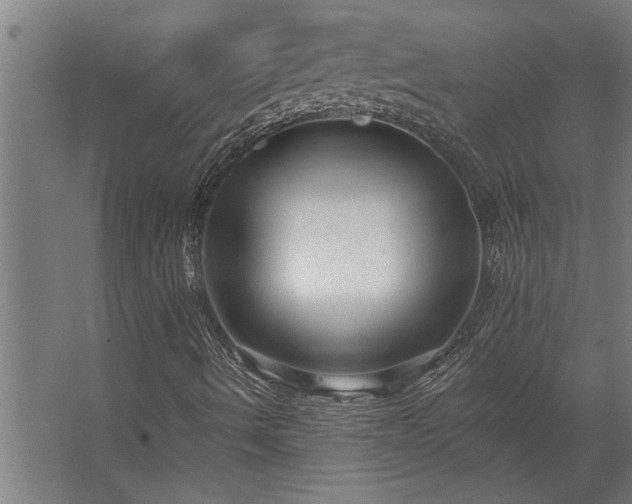 X0000062791490200512290209