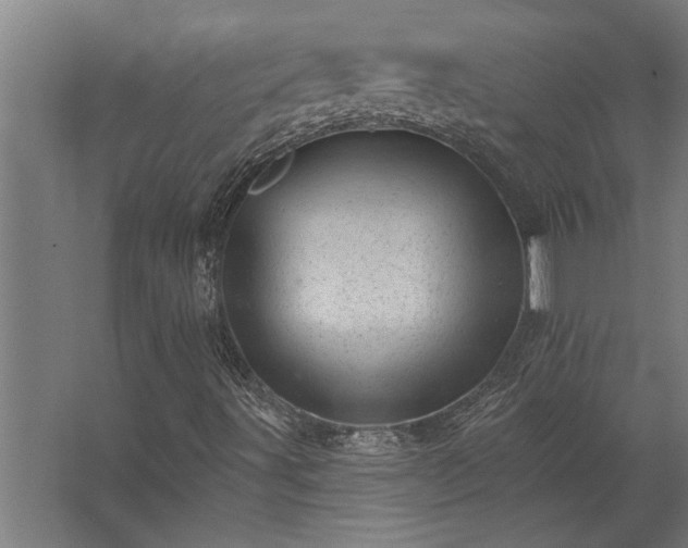 X0000062791491200512290209