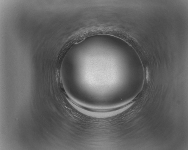 X0000062791492200512290209