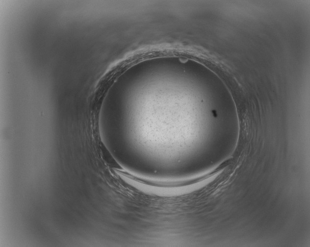 X0000062791494200512290209