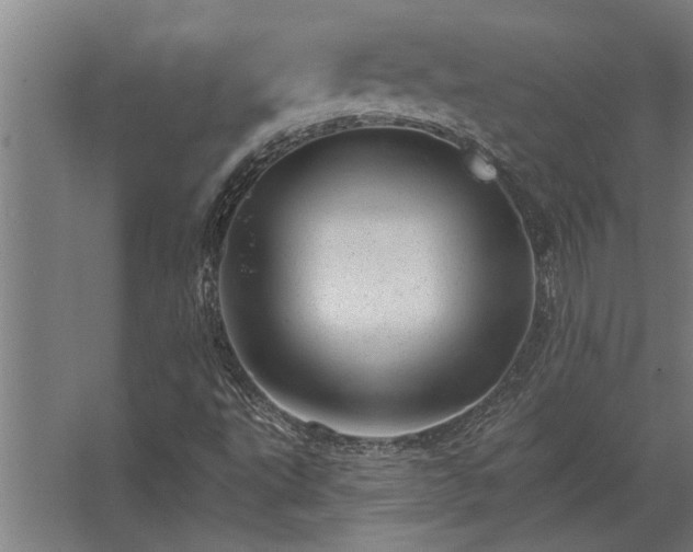 X0000062791495200512290209