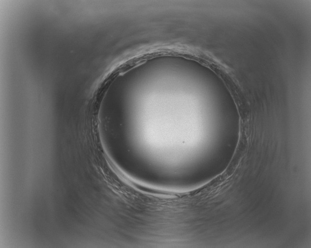 X0000062791496200512290209