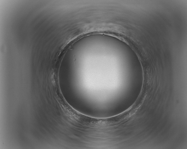 X0000062791497200512290209