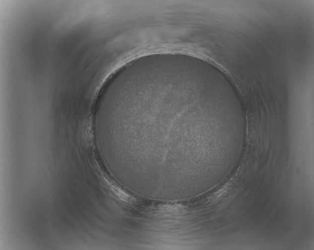 X0000062791498200512290209