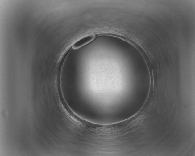 X0000062791500200512290209