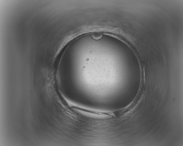 X0000062791501200512290209