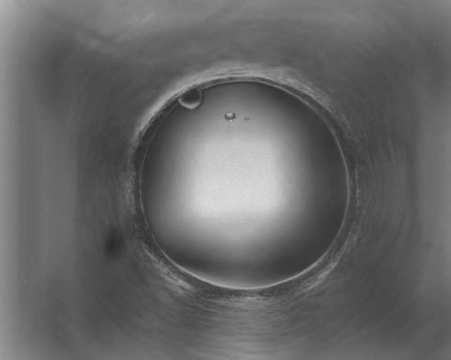 X0000062791502200512290209