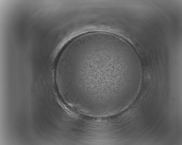 X0000062791503200512290209