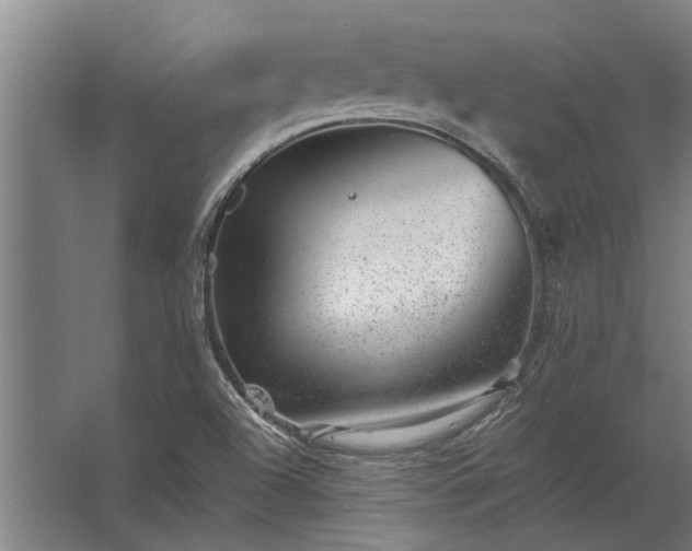 X0000062791504200512290209