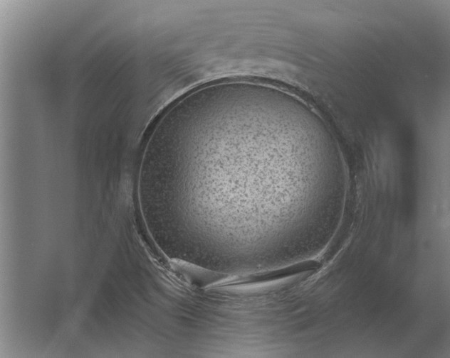 X0000062791505200512290209