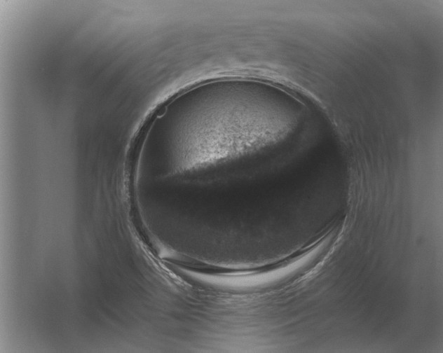 X0000062791506200512290209