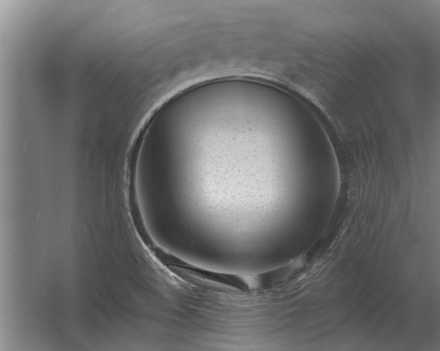 X0000062791508200512290209