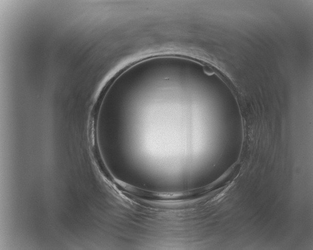 X0000062791510200512290209