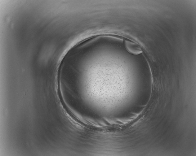 X0000062791512200512290209