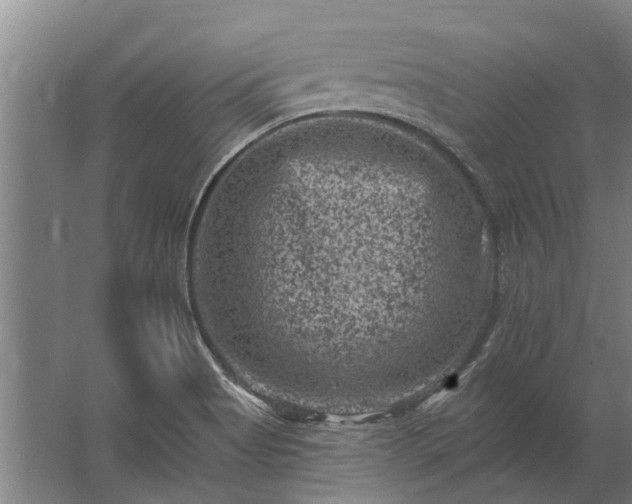 X0000062791513200512290209