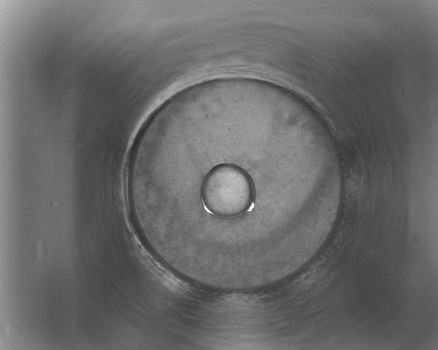 X0000062791514200512290209