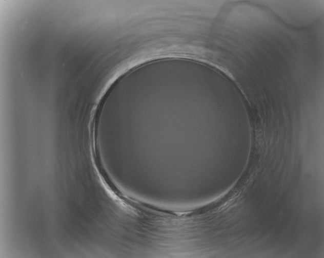 X0000062791515200512290209