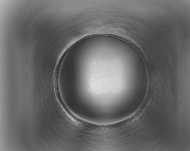 X0000062791517200512290209