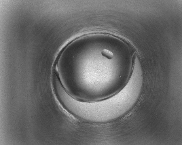 X0000062791518200512290209