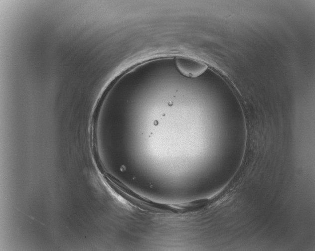 X0000062791519200512290209