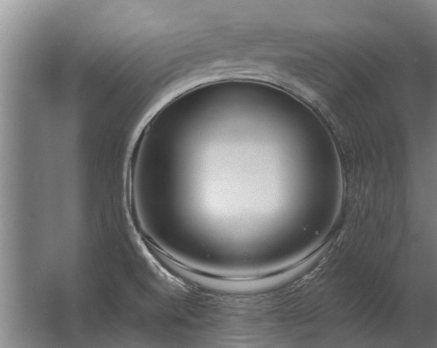 X0000062791520200512290209