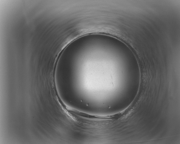 X0000062791521200512290209