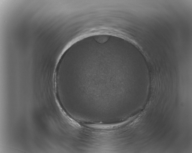 X0000062791522200512290209