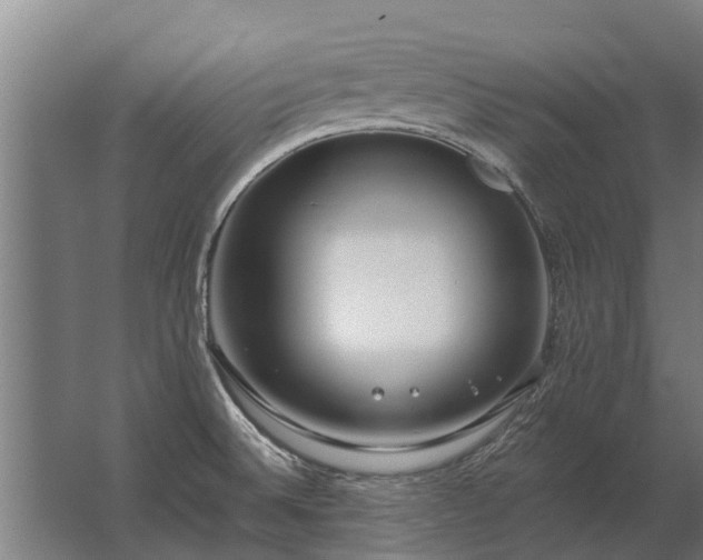 X0000062791524200512290209