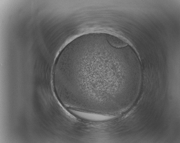 X0000062791525200512290209