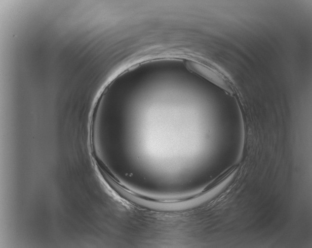 X0000062791528200512290209