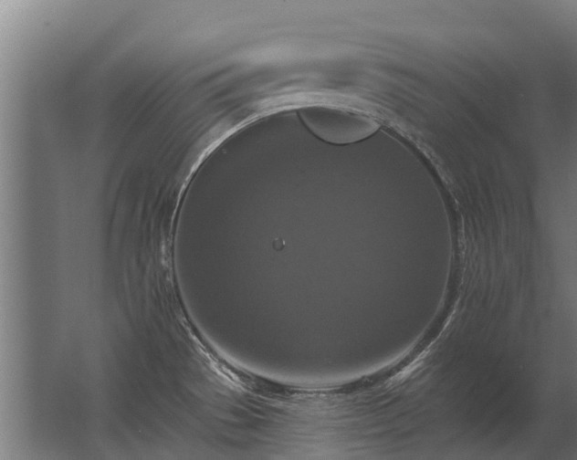 X0000062791529200512290209