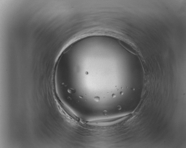 X0000062791530200512290209