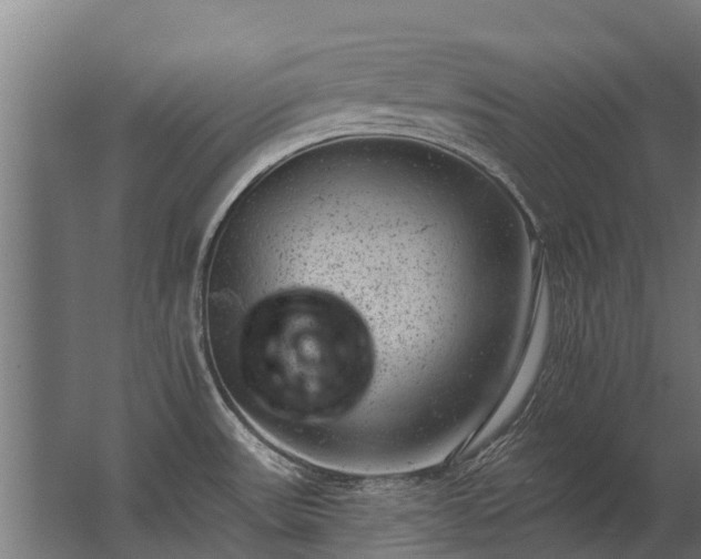 X0000062791531200512290209