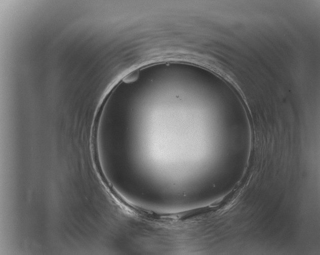 X0000062791533200512290209