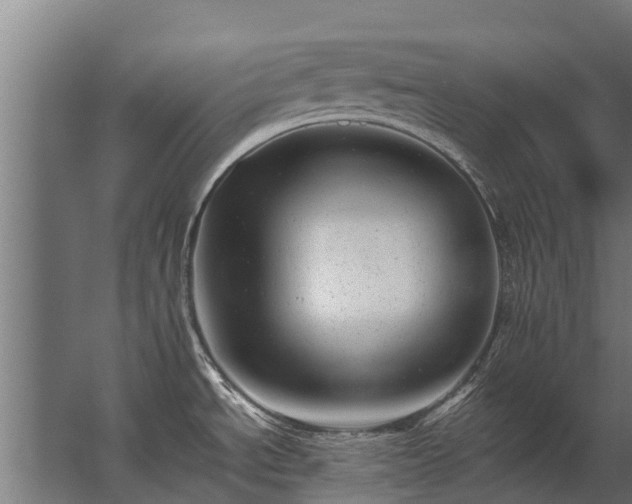 X0000062791534200512290209