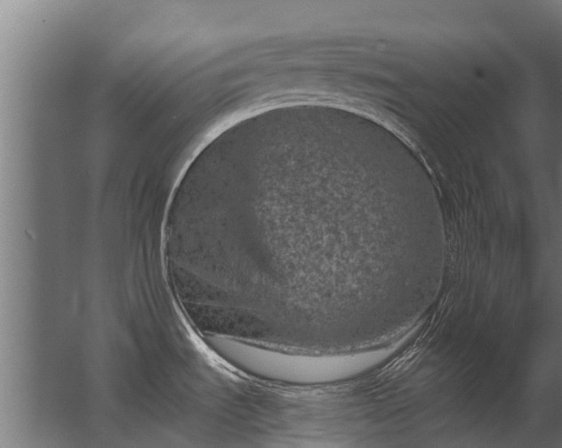 X0000062791535200512290209