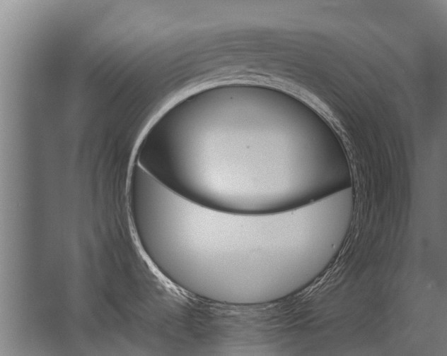 X0000062791536200512290209