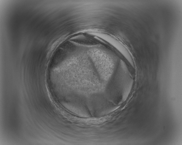 X0000062790001200601051058