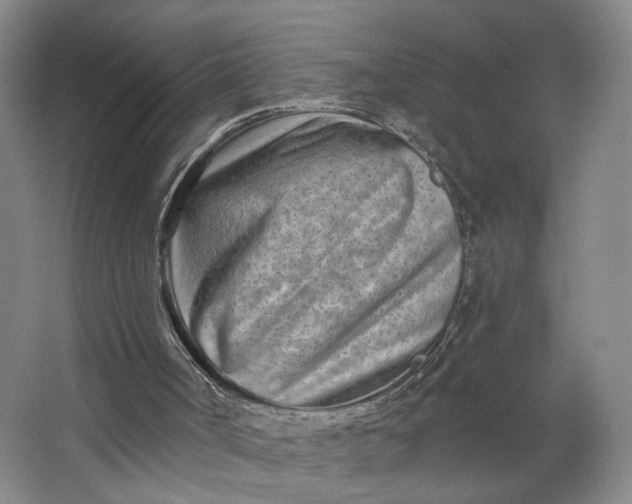 X0000062790002200601051058