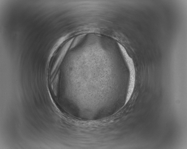 X0000062790003200601051058