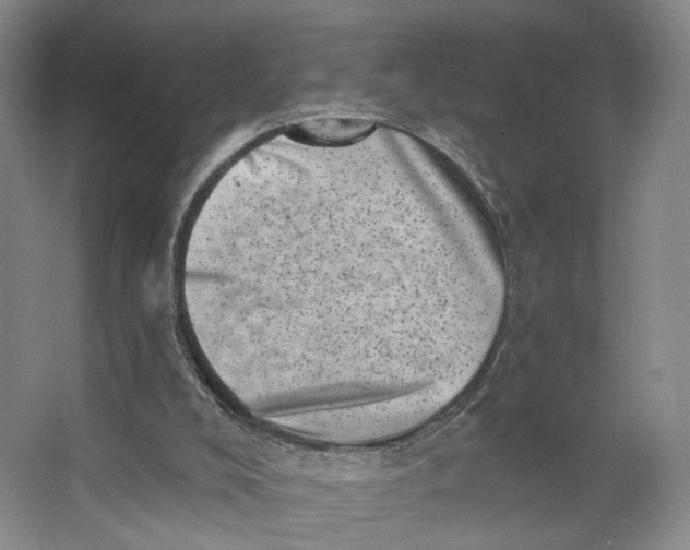 X0000062790008200601051057