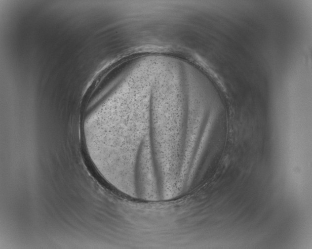 X0000062790011200601051057