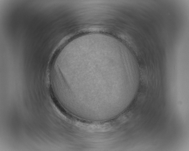 X0000062790016200601051057