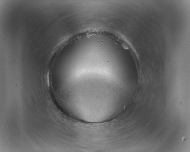 X0000062790019200601051057