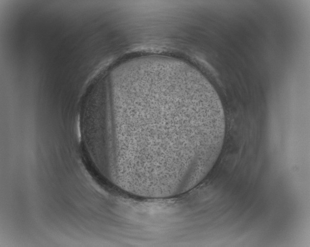 X0000062790020200601051057