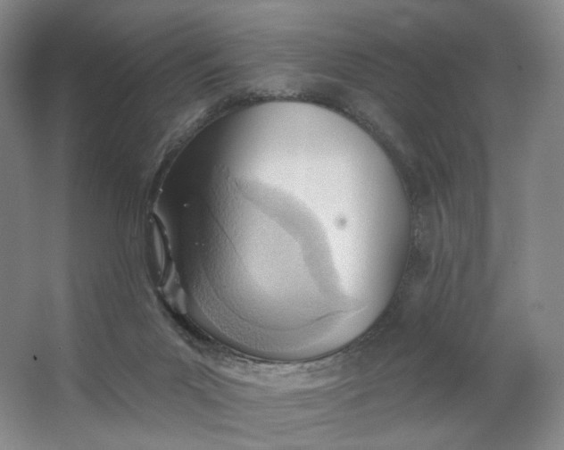 X0000062790023200601051057