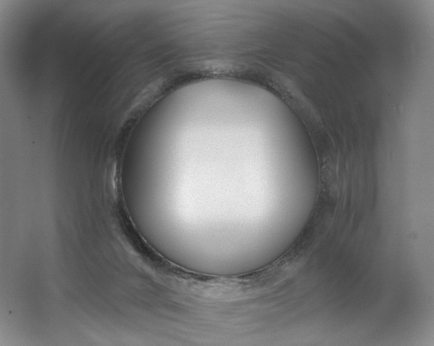 X0000062790024200601051057
