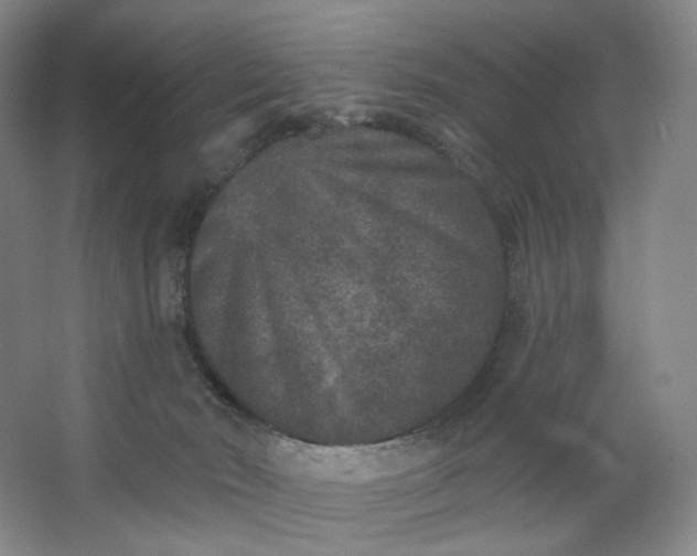 X0000062790030200601051057